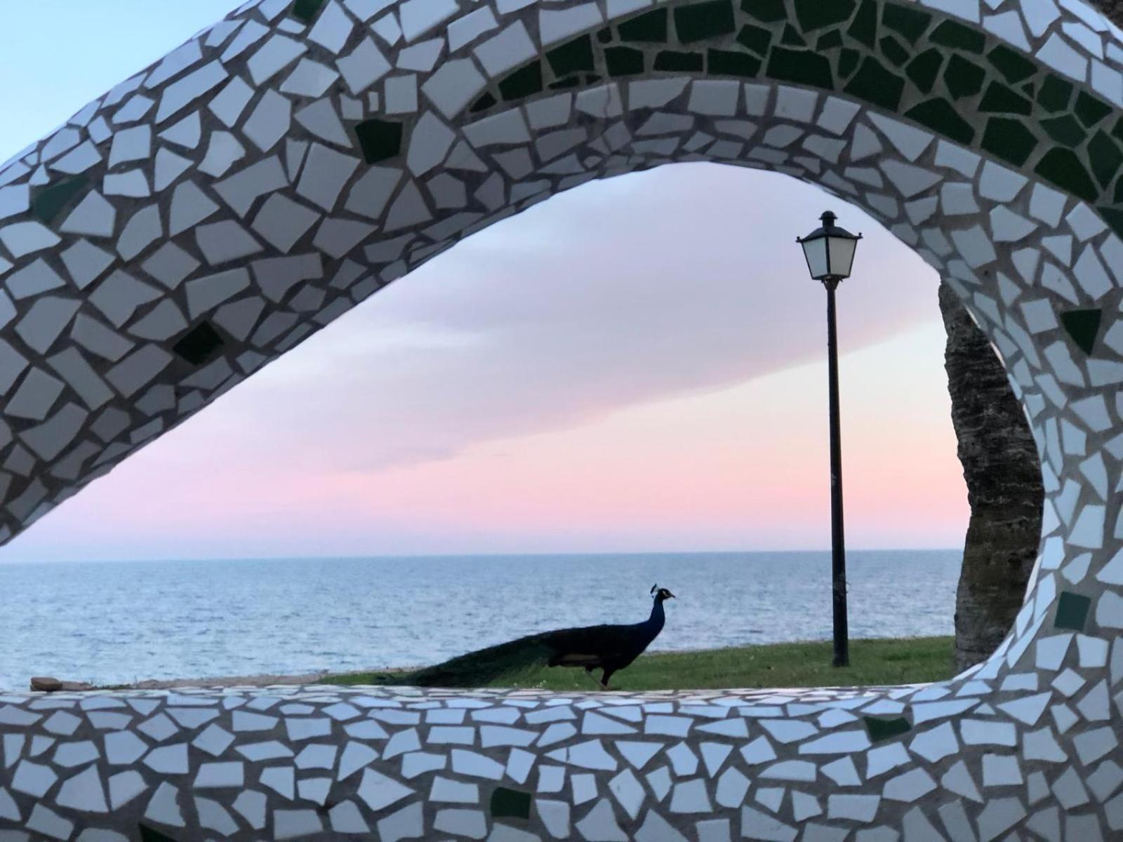 Regata Playa Διαμέρισμα Oropesa del Mar Εξωτερικό φωτογραφία